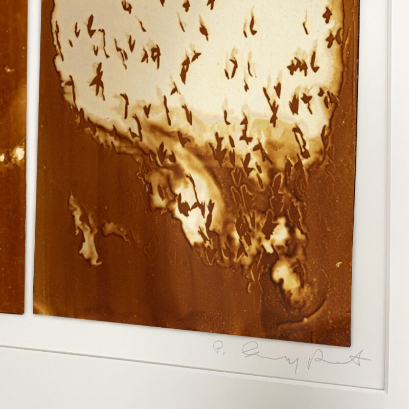 Heliographie, I - Bird, 2019, P. Zajfert