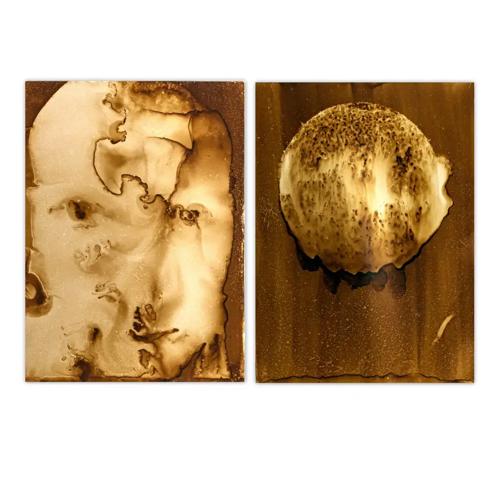 Heliography I-Cancer 13.10.2017 - Original Niépce technique 1822-1827, historical photography process, tinplate Bitume de Judée, unique collector artwork, contemporary art, experimental photography