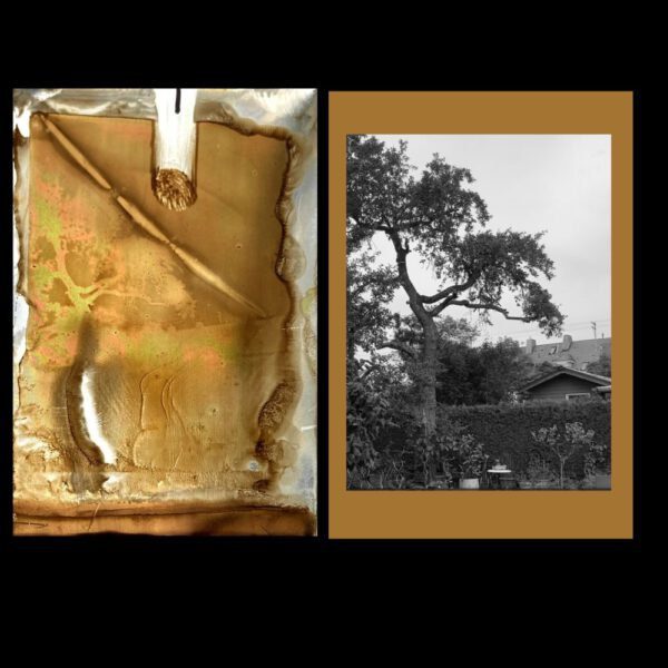 Das erste Foto, Heliographie hergestellt nach dem Verfahren von Joseph Nicéphore Niépce aus dem Jahr 1822/1826