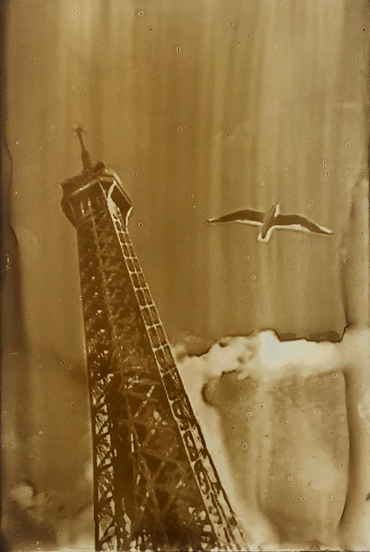 Przemek Zajfert, "Seagull" – heliograph from Google Street View Frame, Paris, Port de Suffren, November 2022. Heliography Project 1827–2027 Przemek Zajfert, "Seagull" – heliograph from Google Street View Frame, Paris, Port de Suffren, November 2022. Heliography Project 1827–2027